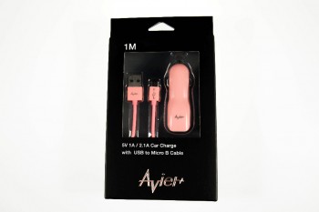 高速充電対応・2端子 カーチャージャー